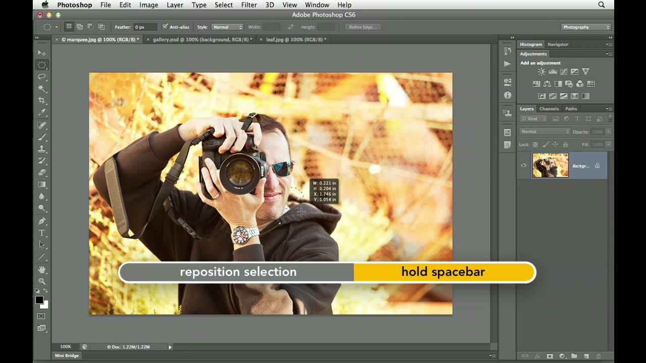 Photoshop Cs6 Working With Marquee Tools Lynda Com Tutorial Youtube