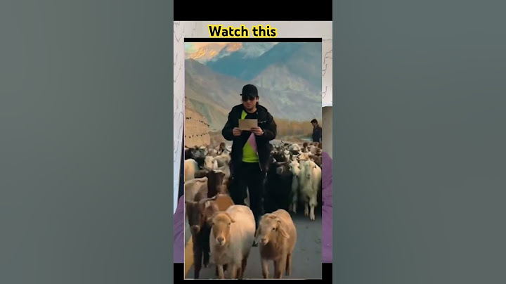 Worst funny video to watch 2025,😆😂try not to laugh #funnyshorts #shorts