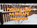 Календарь работ в саду и огороде  Январь