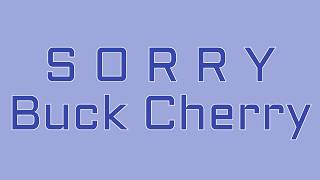 Buck Cherry // SORRY // Lyrics
