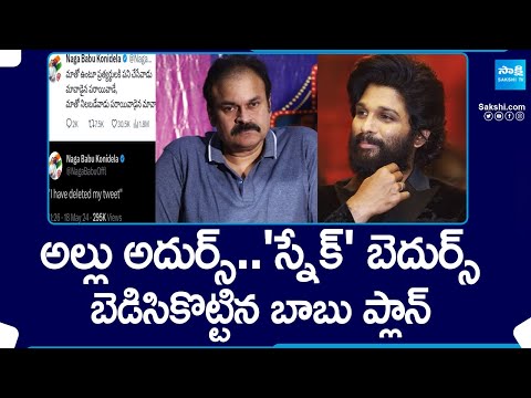 Special Story over Nagababu Allu Arjun Fans Issue | Chandrababu | Magazine Story |@SakshiTV - SAKSHITV