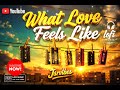 This Is What Love Feels Like ❤️ Emotional Romantic Song /jsrvibes/official music release 2026