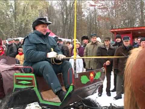 Video: Kladruby Arklių Veislė Hipoalerginė, Sveikatos Ir Gyvenimo Trukmė