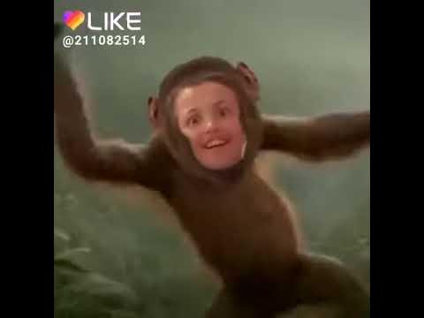 Мавпа - YouTube