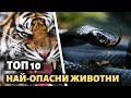 ТОП 10 НАЙ-ОПАСНИ ЖИВОТНИ