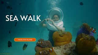 SeaWalk at Havelock island changed my life completely | Andaman | Ep-8 |