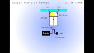 Kolben- Membran- Pumpe (vereinfacht)