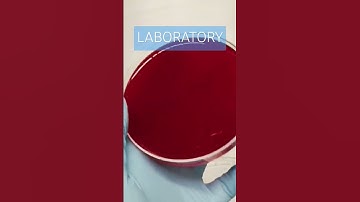Life inside the Laboratory #medtechlife #laboratorylife #themedtechlab