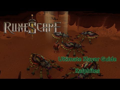 RuneScape - Ultimate Slayer Guide 2013 (Kalphites) - YouTube