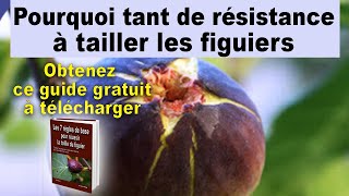 Guide gratuit à télécharger: les 7 règles pour réussir la taille du figuier unifère ou bifère