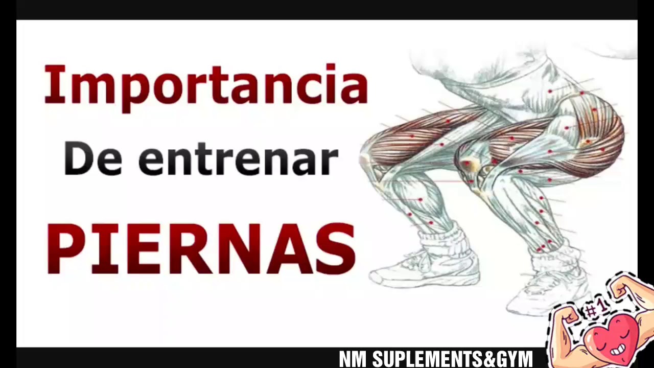 LA IMPORTANCIA DE ENTRENAR PIERNAS THE IMPORTANCE OF TRAINING LEGS