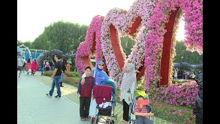 Dubai miracle garden, burj khalifa & jabal hafeed