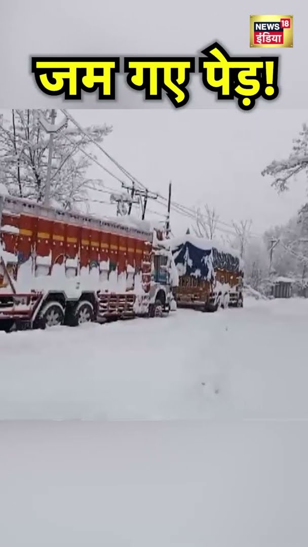 Jammu Kashmir के शोपियां में बर्फ़बारी से जम गए पेड़! Snowfall | N18S