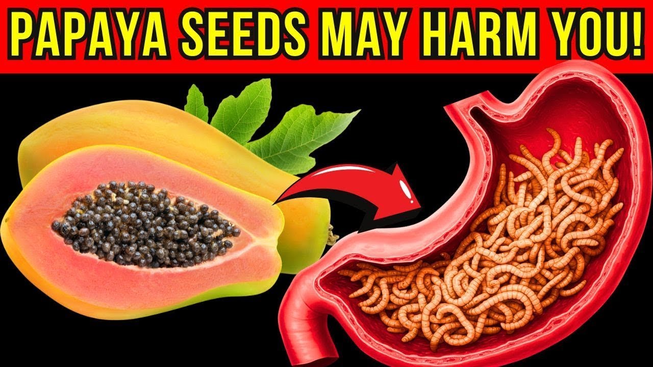 Never Chew Papaya Seeds Like This — Gut Risk Hidden It May Harm You