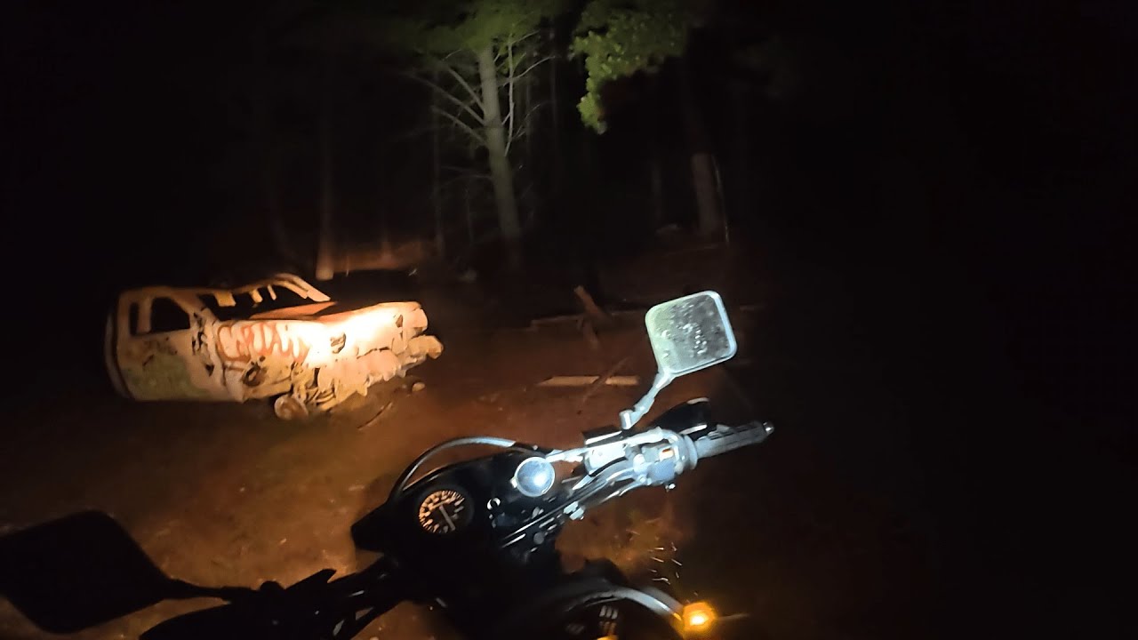 Exploring the Forest at Night is a Bad idea....