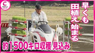 【田植え】  早場米の産地で始まる　約1500キロ収穫見込み　三重・紀宝町 米高騰の中で コメを分けてくれと連絡がある 早場米の田植え始めた三重の農家にも 愛知