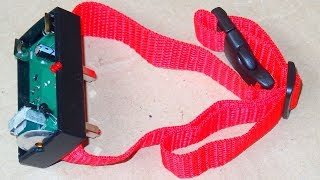 agptek shock collar
