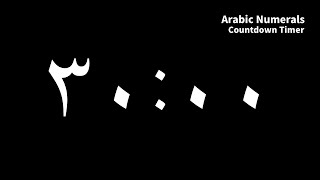 مؤقت ٣٠ دقيقة - Arabic Numerals Countdown 30 Minutes