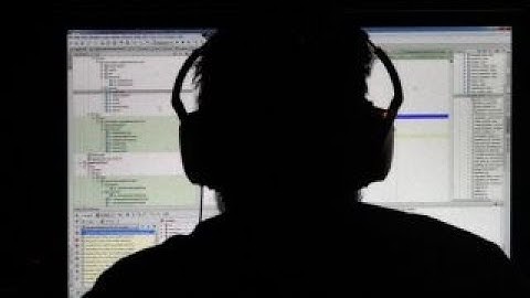 Young computer experts exploited video game for mayhem