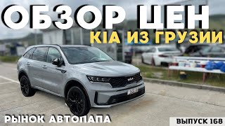 Обзор цен KIA.Актуальные цены.Рынок Автопапа.АвтоТур в Грузию.Авто из СШA.#mastervadya #top #georgia