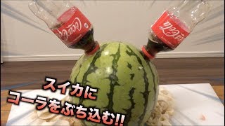 【都市伝説】スイカにコーラを直接ぶっ刺せばコーラ味のスイカになるらしい