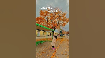 Mùa thu nước Đức #thuytitoduc #cuocsongoduc#cuocsongnuocngoai #docla