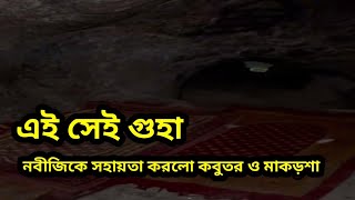 কবুতর ডিম পেড়ে মাকড়শা জাল বুনে নবীজিকে সহায়তা করলো | জাবালে সাওর |