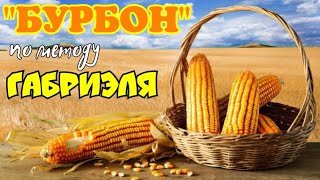 видео: Ленивый  картинка: Ленивый