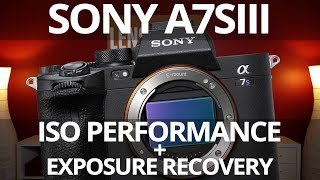 Sony A7Siii Iso Performance And Exposure Recovery