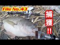 【あの釣りで最大魚登場‼︎】ビッグベイトの使い手おこめさんに「〇〇しか勝たん‼︎」と言わせた冬〜春の琵琶湖の釣り方‼︎