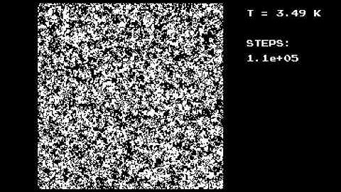 2D Ising model: Wolff algorithm
