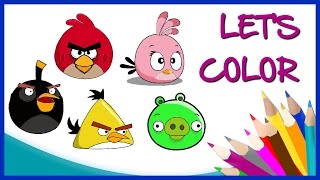 Lets Color Angry Bird and Friends - step by step coloring screenshot 5