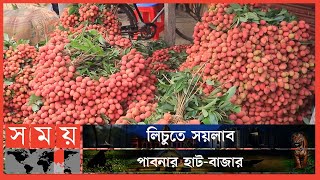 প্রতি হাজার বোম্বাই জাতের লিচু  দু'হাজার থেকে ২২শ টাকা | Pabna Lichi | Business News | Somoy TV