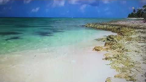 Xa khơi - Tài Tuệ ; trình bày: Kim Thanh