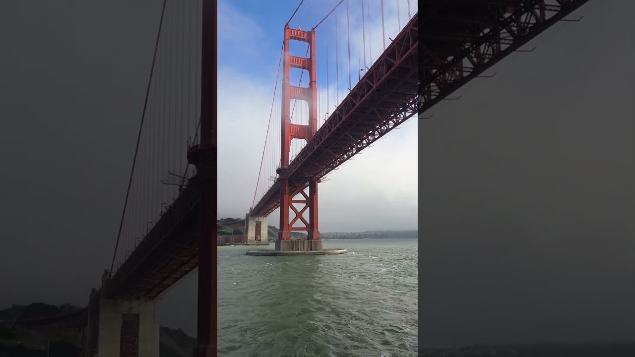 Sailing Under the Golden Gate Bridge!  #shorts #goldengatebridge
