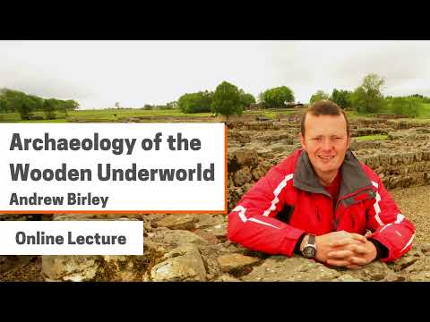 Archaeology of the Wooden Underworld