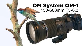 OM System OM-1 with 150-600mm f/5.0-6.3 IS