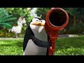 Dreamworks Madagascar | Penguins to the Rescue Scene - Movie Clip | Madagascar | Kids Movies