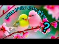 বাংলা ধাঁধা, বাংলা কুইজ, কুইজ ভিডিও, সাধারণ জ্ঞান, GK quiz, quiz videos, Bangla quiz, tutorial quiz