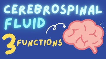 THE 3 MAIN FUNCTIONS OF CEREBROSPINAL FLUID (CSF)