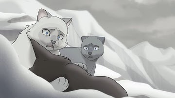 O Holy Night (Warriors OC MAP) || Part 23