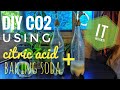 DIY CO2 USING BAKING SODA AND CITRIC ACID