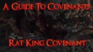 Dark Souls 2 - A Guide to Covenants: Rat King Covenant