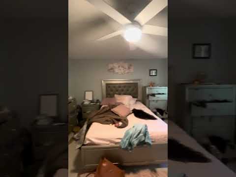 134 N. Washington St., Norton, MA home video tour