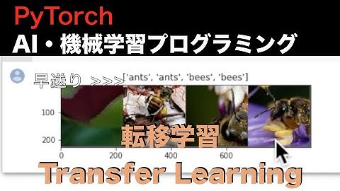 PyTorch入門 - PyTorch公式TutorialをGoogle Colaboratoryでも動せる（転移学習 編）| AI・機械学習プログラミング