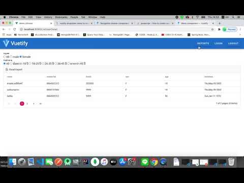 Report by NodeJs VueJs MongoDb