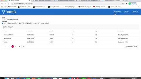 Report by NodeJs VueJs MongoDb