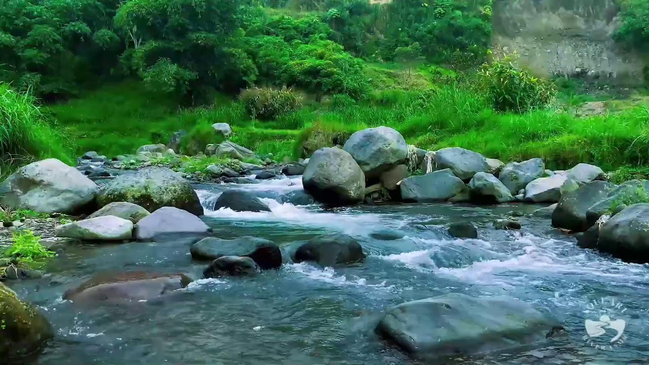 Forest River Sounds at Night for Sleep | Natural Flowing Water Ambience