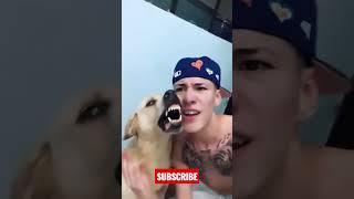 DOG SINGING