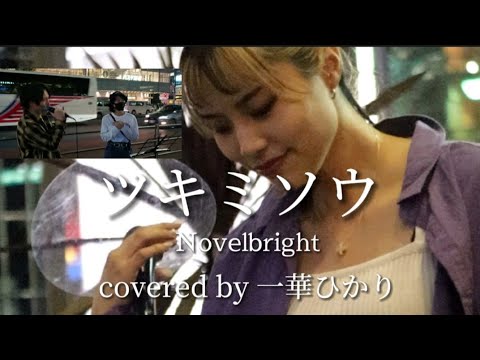 【あれから１年…本人登場の奇跡を呼び寄せた】ツキミソウ/Novelbright【covered by 一華ひかり】